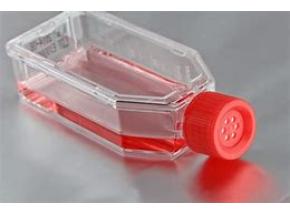 global, Adherent Cell Media, market report, history and forecast, 2013-2025