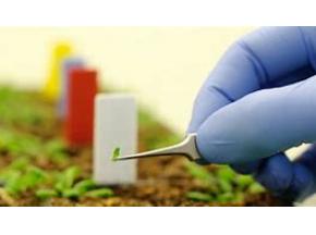 global, Agricultural Biotechnology, market report, history and forecast, 2013-2025