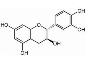 global, Catechin, market report, history and forecast, 2013-2025