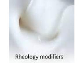 global, Rheology Modifiers, market report, history and forecast, 2013-2025