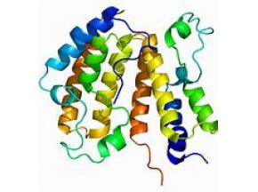 global, Bromodomain Containing Protein 2, market report, history and forecast, 2013-2025.jpg