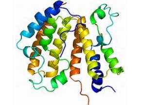 global, Bromodomain Containing Protein 4, market report, history and forecast, 2013-2025