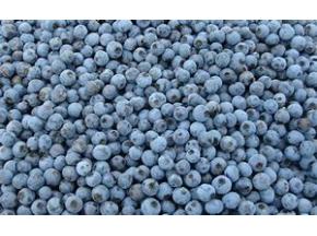 Global IQF Blueberry Market to Witness a Pronounce Growth During 2025 - QY research