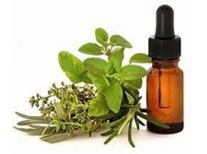 Plant Extracts, market report, history and forecast, global, 2013-2025