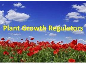 Plant Growth Regulators, market report, history and forecast, global, 2013-2025
