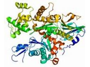 Plasma Protein Therapeutics, market report, history and forecast, global, 2013-2025